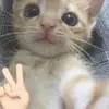 eve 👅👅 - @evecannotread - TikTok
