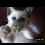 evericher - @evericher1 - Instagram