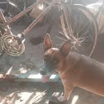 howard everton ricketts - @howardevertonricketts - Instagram