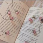Eva Riddle is writing... - @riddlewrites_ - Instagram