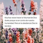 Eve Rivera - Facebook