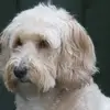Eve Roberts - @eve.roberts79 - TikTok