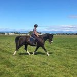 Eve.Roche - @eve.eq.123 - Instagram
