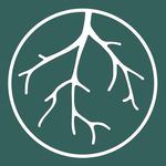 Everoot - @everoot.co - Instagram