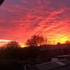 Eve Rowley - @eve.rowley3 - TikTok