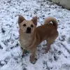 Eve Rowley - @eve.rowley1 - TikTok