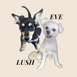 イヴ♡ラッシュ - @eve_rush_0910_0821 - Instagram