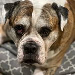 Eve Rutherford - @gidget.the.goddess - Instagram