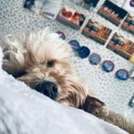 Eve Saunders - @evesaunders62 - Instagram