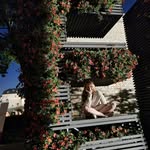Eva Schilling - @evis.wilder.garten - Instagram