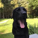 Eva Schilling - @ewa1112019 - Instagram