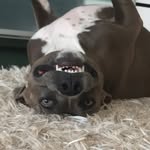 Eve - @eve_schmidt_ - Instagram
