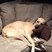 Eve Silverman - Facebook