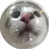 evey peevy - @eve.sinclair2 - TikTok
