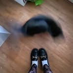 Eve Sisson - Facebook