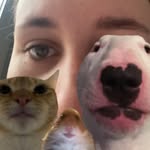 éve - @evesmith05 - Instagram