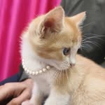 _eve_snowflake - @_eve_snowflake - Instagram