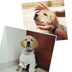 Eve_n_Snow - @eve_n_snow - Instagram