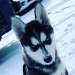 Eve Snow - @official_evesnow - Instagram