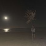 Evelyn - @evelyn.squires15 - Instagram