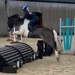 Eve Stanley - @evestanley_equestrian - Instagram