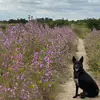 evesteele07 - @evesteele07 - TikTok