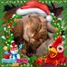 Eve Stephens - Facebook