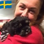 Eve Stern - @stern6301 - Instagram