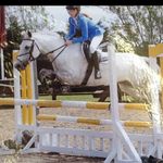 @eve.stokes.showjumper - Instagram