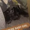 Everett Stokes - @everett.stokes1 - TikTok