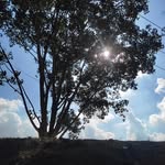 @evestone___64 - Instagram