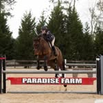 💚Ashley Stout Memorial💚 - @a.stouteventing - Instagram