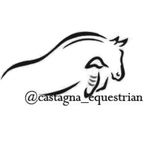 @brown_stratton_eventing - Instagram
