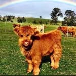 Eve Stuart - @evestuart96 - Instagram