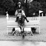 @neve_webber_eventing_ - Instagram