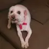 Evelia Jimenez - @eveliajimenez5 - TikTok