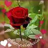 Evelia Ramirez - @evelia.ramirez6 - TikTok