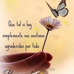 Evelia Flores Robles - @eveliafloresrobles - Instagram