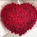 EVELIN Brown - @evelinbrown51 - Instagram