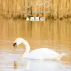 @evelin456 - @evelinmonroy0 - TikTok