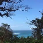 @eveli_nechan - Instagram