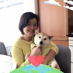 Eveline Chang - @evelinechang49 - Instagram