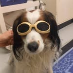 Eveline Koch - @eveline7343 - Instagram