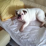 Eveline Koch - @evkoch46 - Instagram