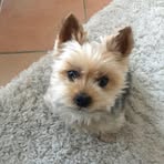 Eveline Koch - Facebook