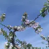 evelinekoch7 - @evelinekoch7 - TikTok