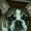 evelinemayr - @evelinemayr - TikTok