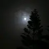Evelio Alfonso Arauj - @eaa728 - TikTok