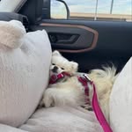 Evelyn Alison - @evelynalison70 - Instagram