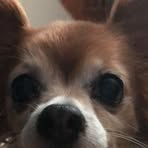 Evelyn Tan-Appleton - Facebook